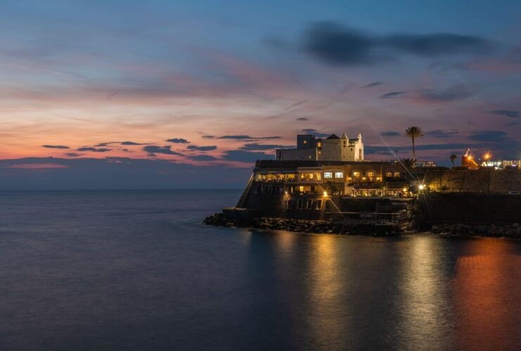 Ischia: Vineyard Tour & Picnic Among the Olive Trees - Itinerary and Activities