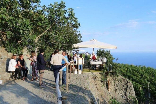 Ischia: Vineyard Tour & Wine Tasting Experience W/ Transfers - Experience Description