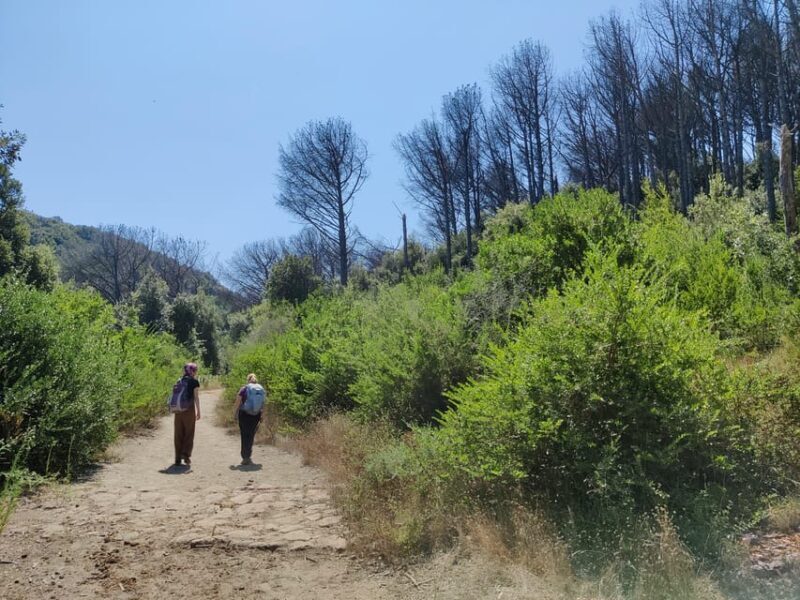 Ischia: Volcano hike - Good To Know