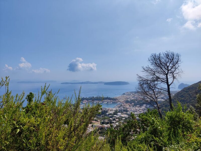 Ischia: Volcano hike - Authentic Experiences and Insights from Reviewers