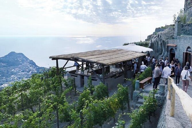 Ischia Wine Tasting Experience With Transfer Included - Experience Overview