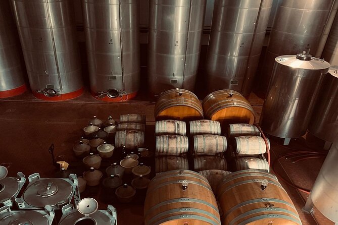 Ischia Wine Tasting Experience With Transfer Included - Customer Reviews