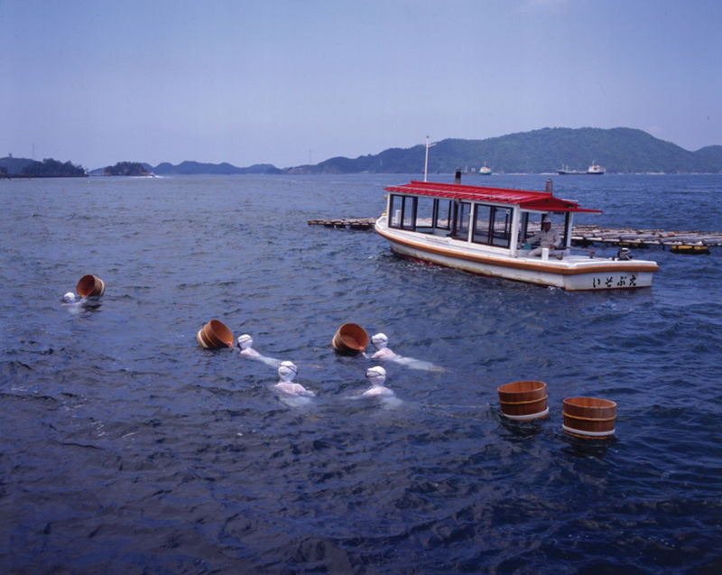 Ise Grand Shrine & Pearl Island Private Guided Tour - What the price tells you, and what it does not