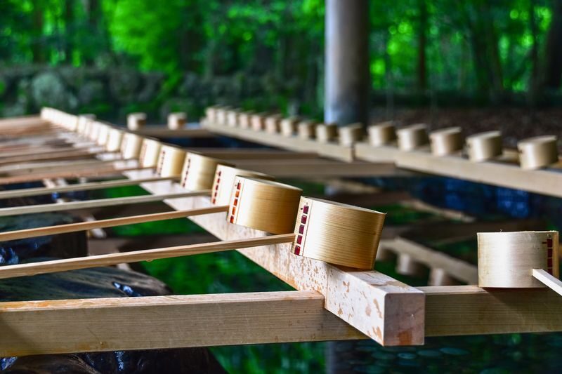 Ise Grand Shrine & Pearl Island Private Guided Tour - Who will get the most from this tour