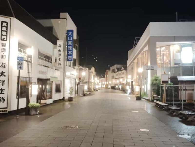 Ise: Guided Bar-Hopping Tour with Food and Drinks - The Sum Up: Who Will Love This Tour?