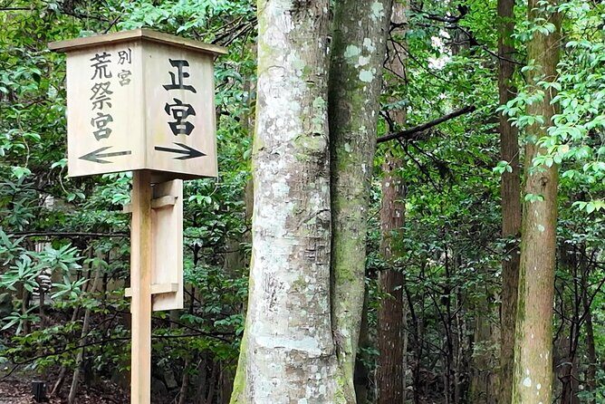 Ise Jingu Shrine Pilgrimage and Meoto Iwa Bus Tour - Final Thoughts