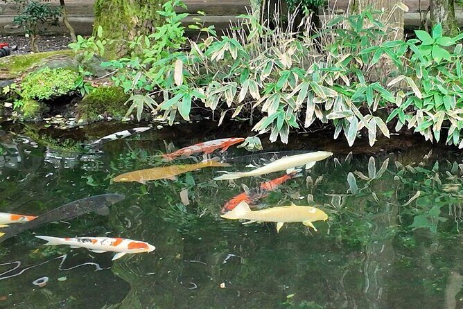 Ise Jingu Shrine Pilgrimage and Meoto Iwa Bus Tour - Authentic Experiences and Practical Tips