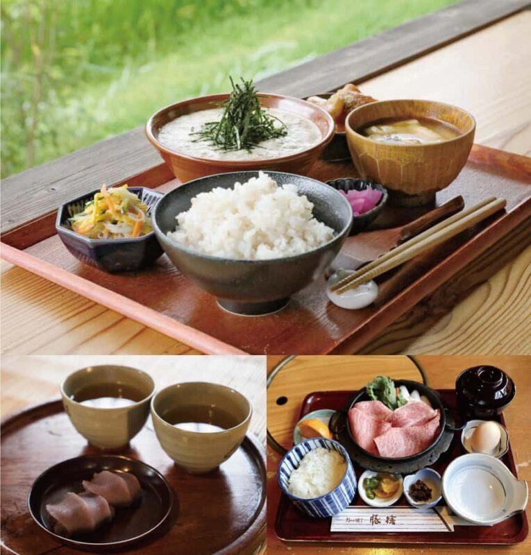 Ise-Shima Tour - Understanding the Value: Is It Worth It?