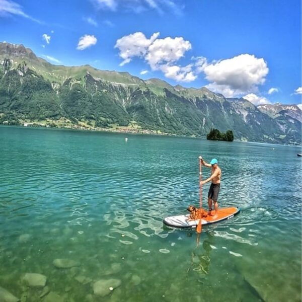 Iseltwald: SUP Private Class + Brunch - Enjoying the Experience