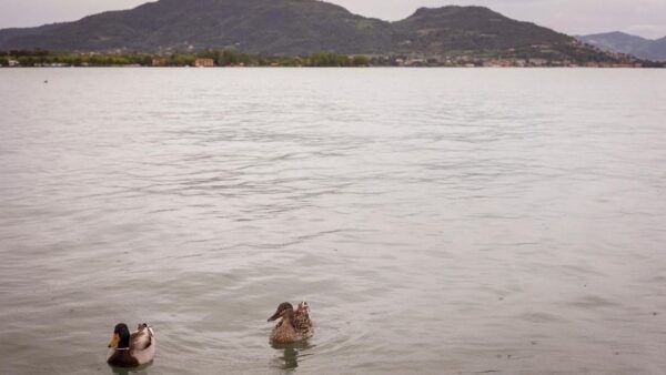 Iseo: Photo Shoot With Professional Photographer - Accessibility Options
