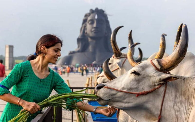 Isha Yoga Center from Coimbatore - Day Trip with Lunch - The Full Experience: A Closer Look at the Tour  