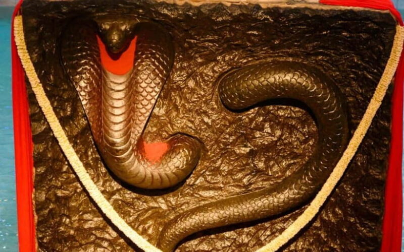 Isha Yoga Center from Coimbatore - Day Trip with Lunch - FAQ  