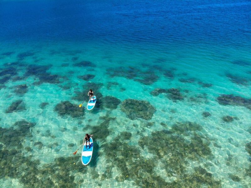 Ishigaki: Canoe or SUP at Kabira BaySnorkeling at Blue Cave - Logistics and Practical Tips for Travelers