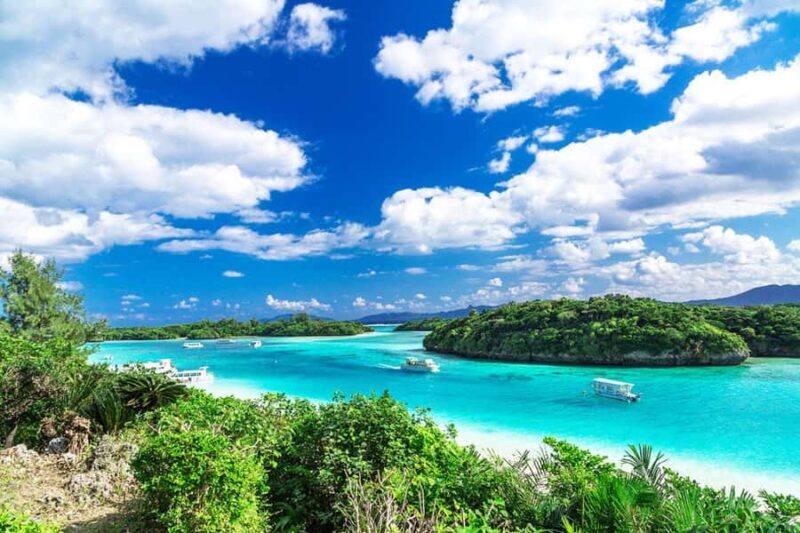 Ishigaki: Full-Day Island Tour with Photos & Transfer - Who Should Book This Tour?