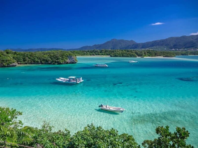 Ishigaki: Half-Day Scenic Tour with Photos & Transfer - Good To Know