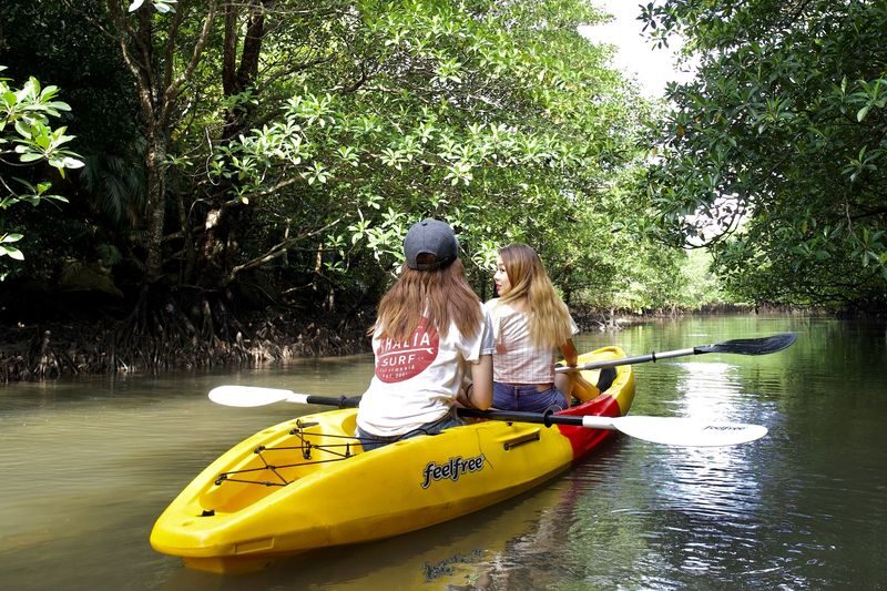 Ishigaki Island: 1-Day Tour Mangrove SUP & Canoe & Blue Cave Snorkeling - At a glance