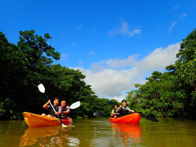 Ishigaki Island: 2-Hour Miyara River Kayaking Tour - Cancellation Policy: Free Cancellation up to 24 Hours in Advance