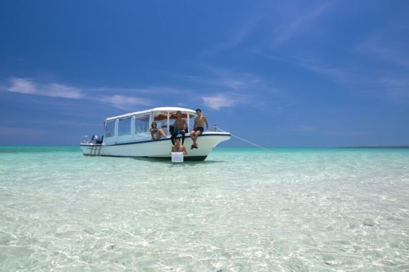 Ishigaki Island: Boat Snorkeling Tour at Phantom Island - Real Experiences from Travelers