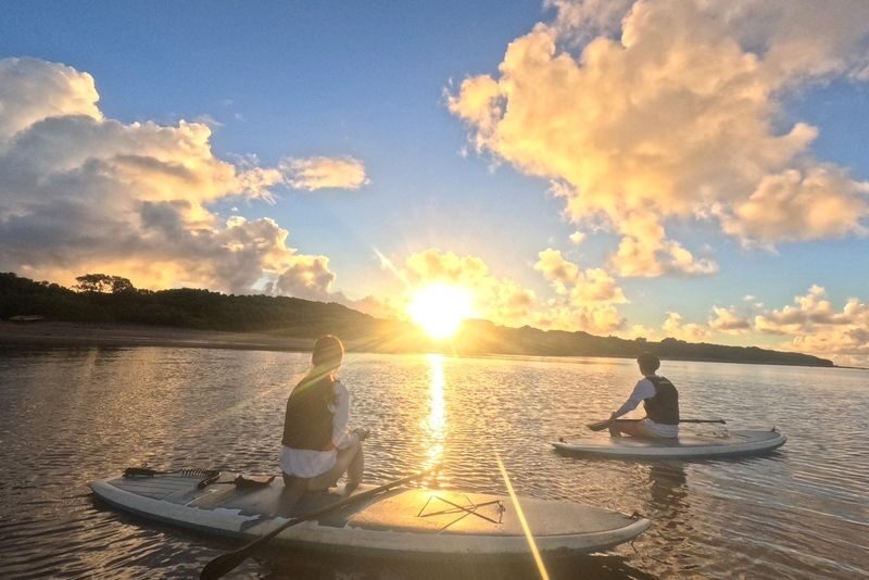 Ishigaki Island: Early Morning - Sunrise SUP/Canoe Tour with Options - A mangrove morning on the Miyara River