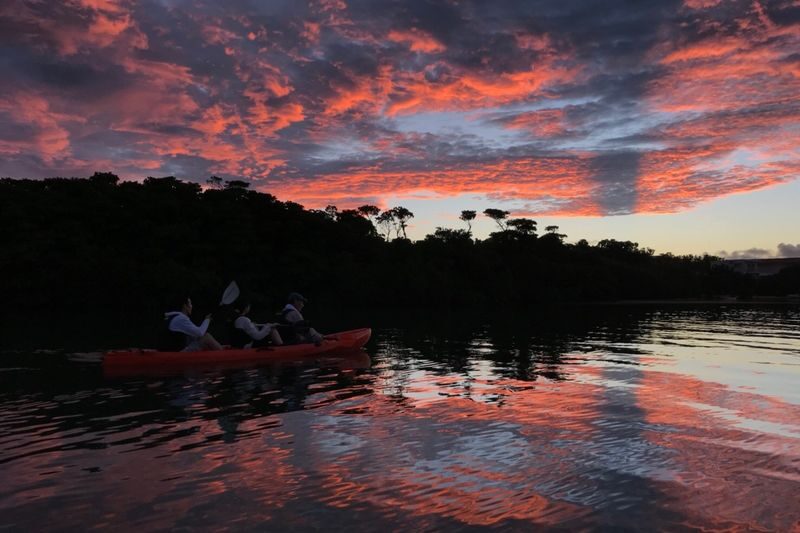 Ishigaki Island: Early Morning - Sunrise SUP/Canoe Tour with Options - From the red mailbox to the river