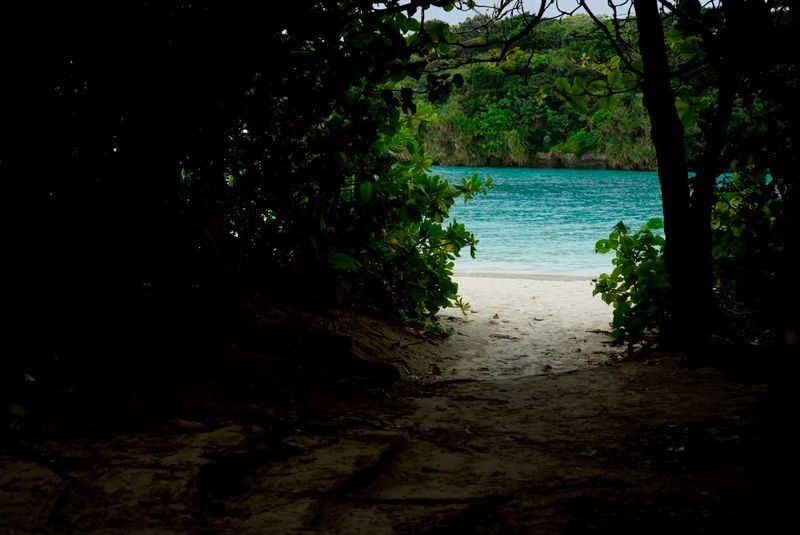 Ishigaki Island Guided Sightseeing Photo Tour: Visiting Popular Spots like Kabira Bay with Photo Data Included - Kabira Bay comes with a glass boat ride