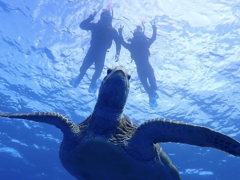 Ishigaki Island/Half-Day: Blue Cave Exploration & Snorkeling (Okinawa) - Weather changes can rewrite the plan