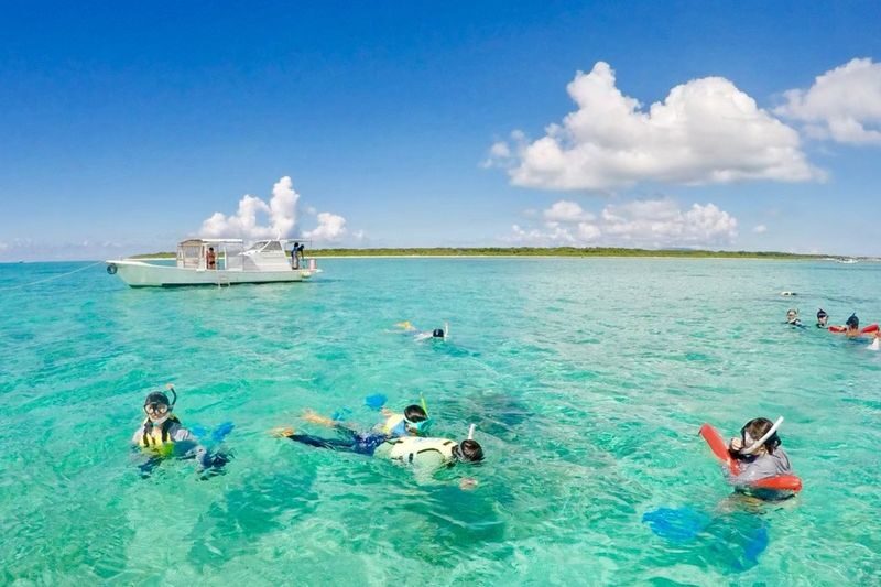Ishigaki Island Half-Day Sea Turtle Snorkeling / Experience Diving & Snorkeling Double Experience - Turtle snorkeling or two ways to see the reef