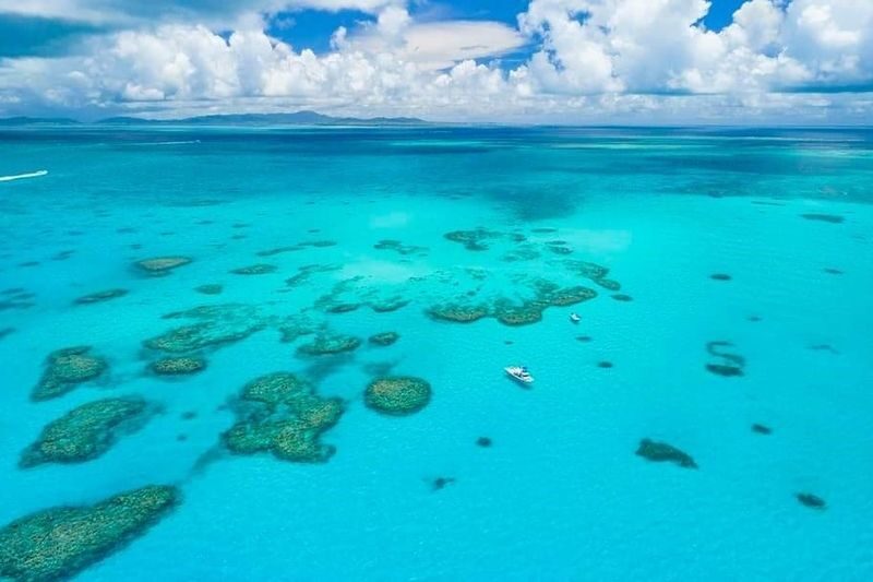 Ishigaki Island Half-Day Sea Turtle Snorkeling / Experience Diving & Snorkeling Double Experience - Meeting in town, then getting ready for the sea