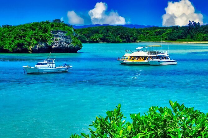 Ishigaki Island Highlights Tour - Good To Know