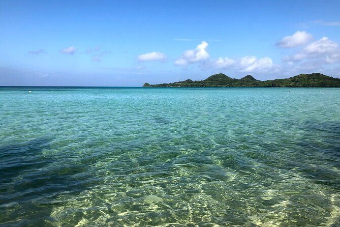 Ishigaki Island Highlights Tour - Exploring Ishigaki: What You Can Expect from the Tour