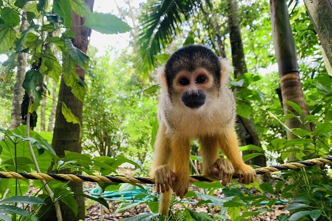 Ishigaki Island Highlights Tour - Authentic Experiences from Reviews