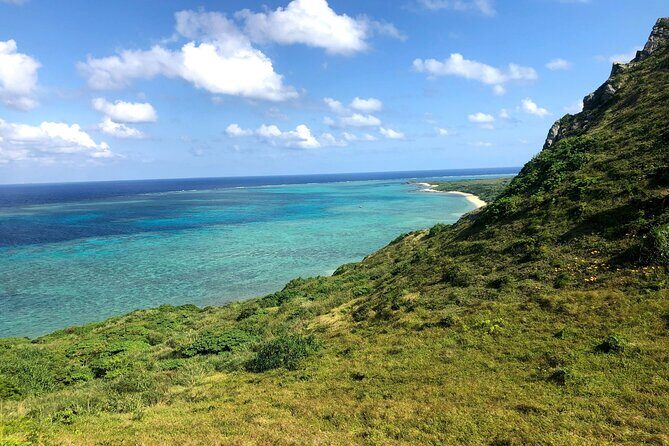 Ishigaki Island Highlights Tour - Who Should Consider This Tour?