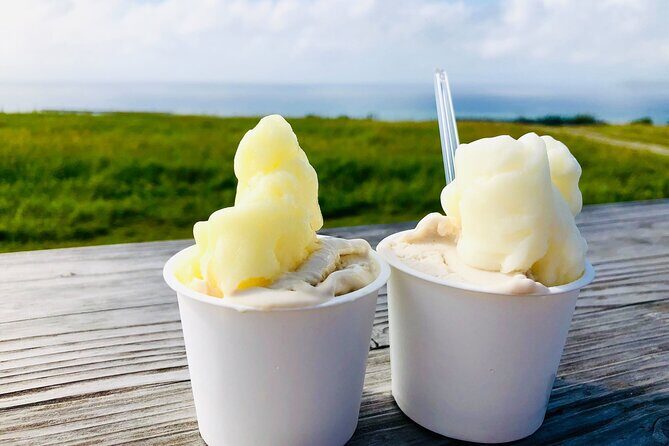 Ishigaki Island Highlights Tour - Final Thoughts: Is It Worth It?