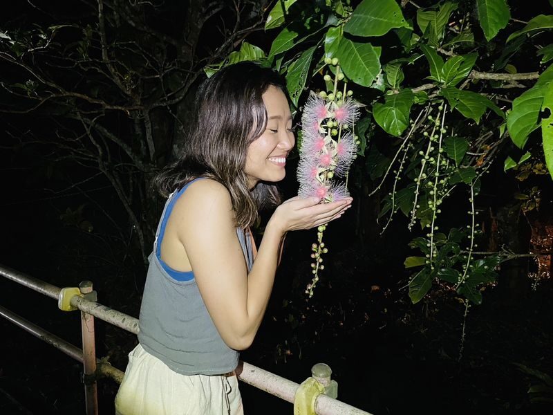 Ishigaki Island Night Barringtonia racemosa Viewing Tour - A night walk built around the Sagarihana