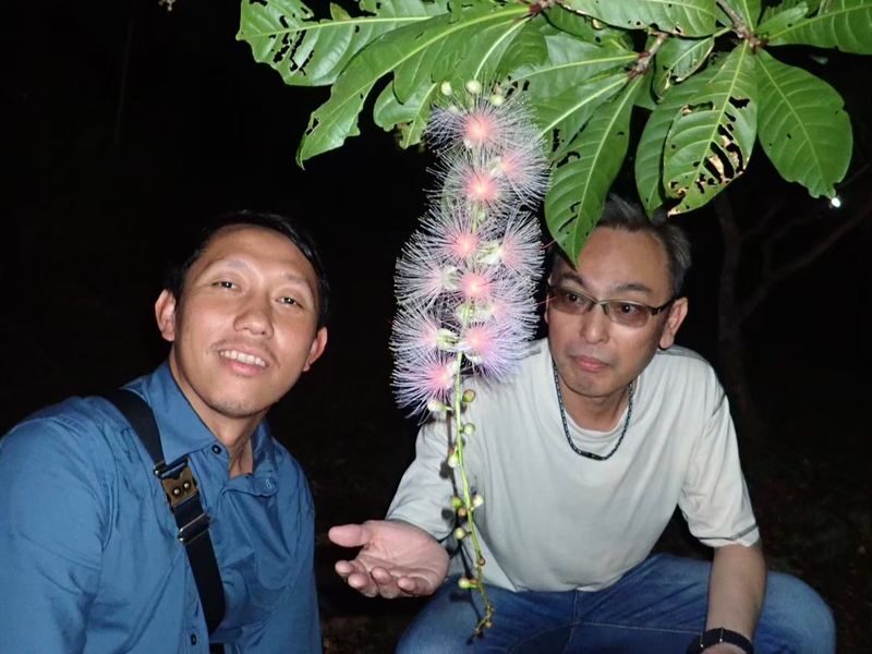 Ishigaki Island Night Barringtonia racemosa Viewing Tour - Stars, darkness, and the weather