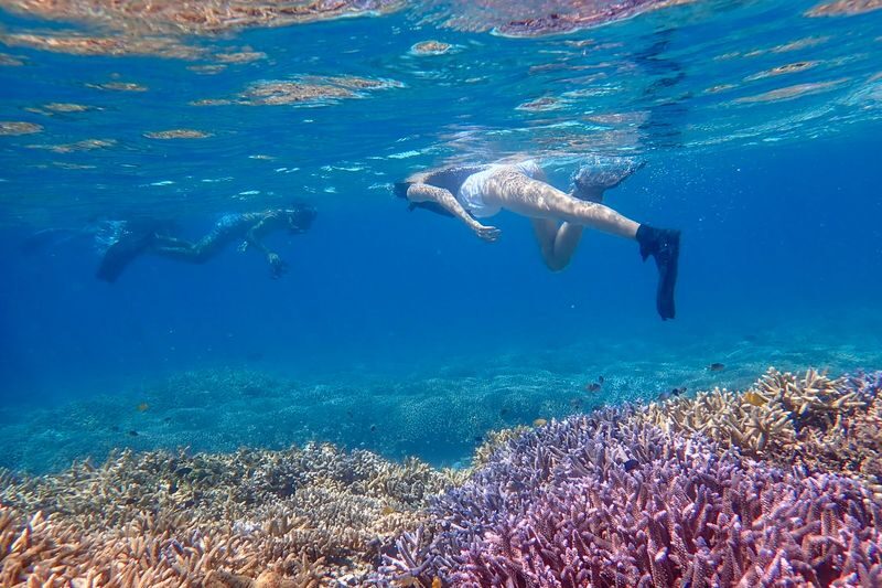 Ishigaki Island: "Phantom Island" Hamajima Landing & Boat Snorkeling (Half-Day Tour) - Weather changes can reshape the day
