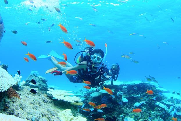 Ishigaki Island Phantom Island Landing & Snorkeling/ 체험 Diving - Who can take part, and when the sea changes the plan