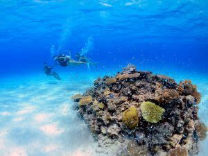 Ishigaki Island Phantom Island Landing & Snorkeling/ 체험 Diving - Is the price worth it?
