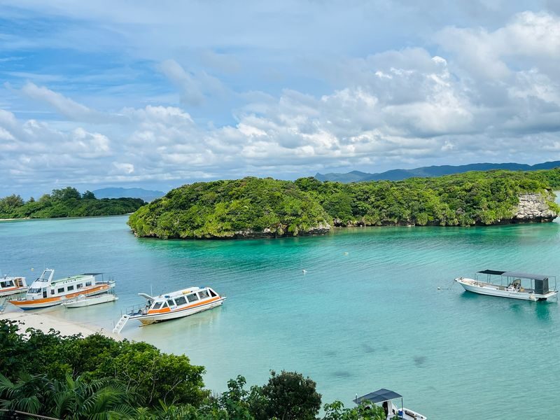 Ishigaki Island Private Customizable One Day Charter Tour - The useful details at a glance