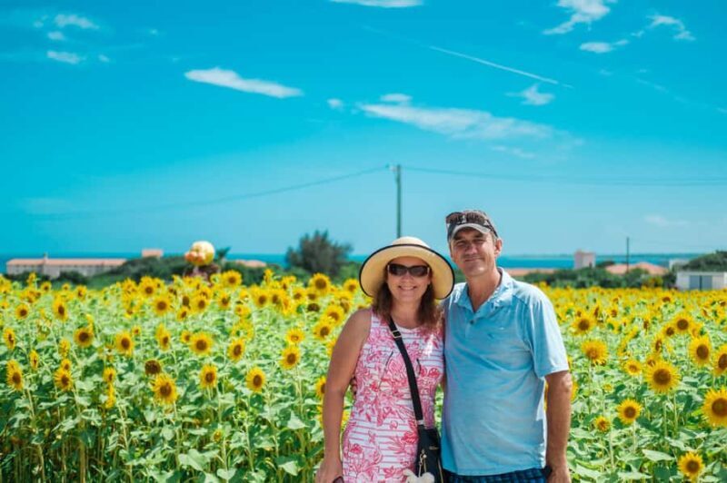 Ishigaki Island Private Photo Tour by English Native Speaker - The Sum Up