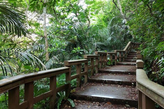 Ishigaki Island Private Tour Trails & Scenic Spots - Why Choose This Tour?