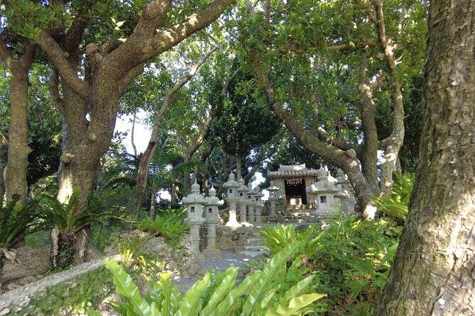 Ishigaki Island Private Tour Trails & Scenic Spots - Practical Details