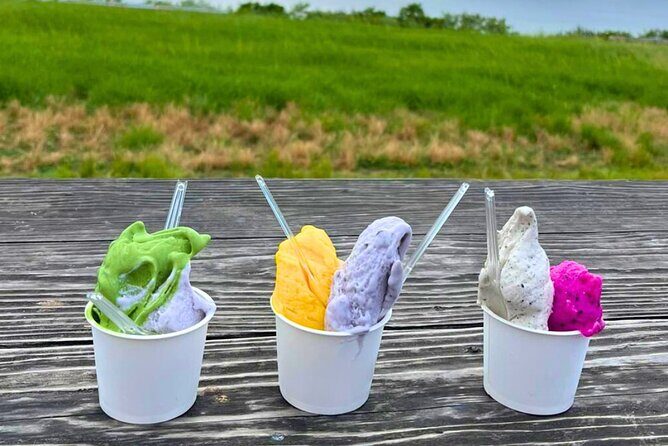 Ishigaki Island Private Tour Trails & Scenic Spots - Who Is This Tour Best For?