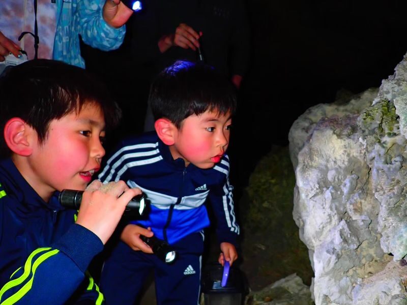 Ishigaki Island: Stargazing & Jungle Night Tour (Okinawa) - The beach, the stars, and the weather question
