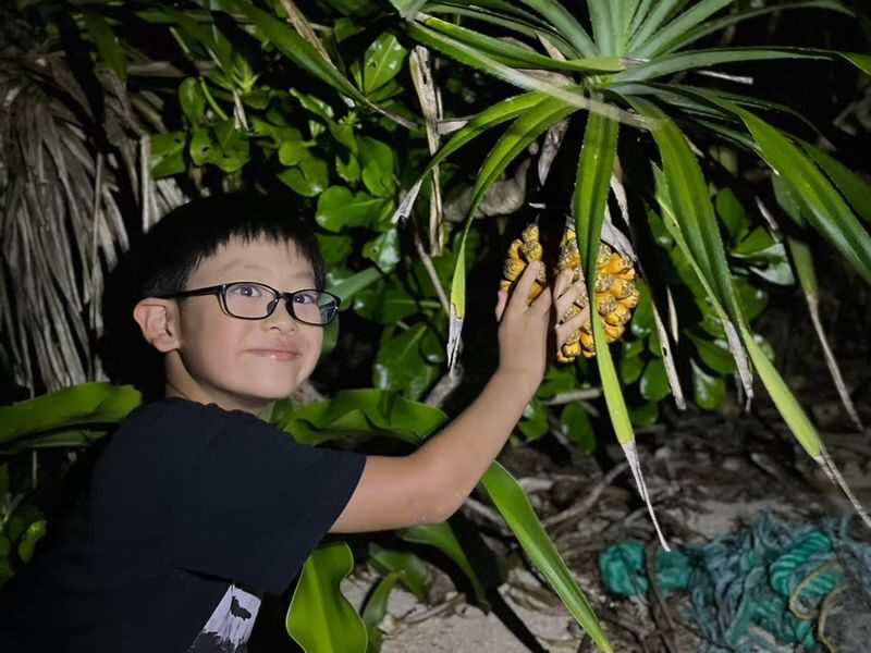 Ishigaki Island: Stargazing & Jungle Night Tour (Okinawa) - Safety, language, and the small print that matters