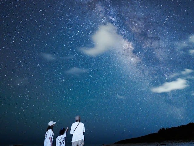 Ishigaki Island: Stargazing & Jungle Night Tour (Okinawa) - Who will enjoy this outing most