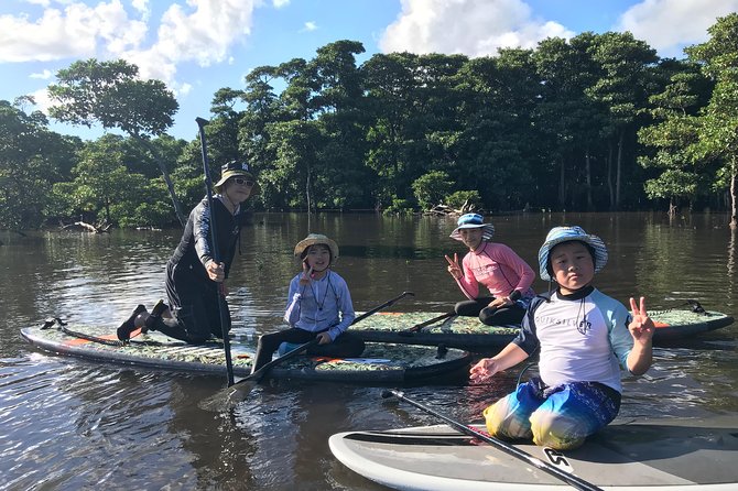 Ishigaki Island Unexplored Subtropical Mangrove Sap Experience - Overview of Ishigaki Island