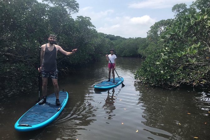 Ishigaki Island Unexplored Subtropical Mangrove Sap Experience - Meeting and Pickup Details