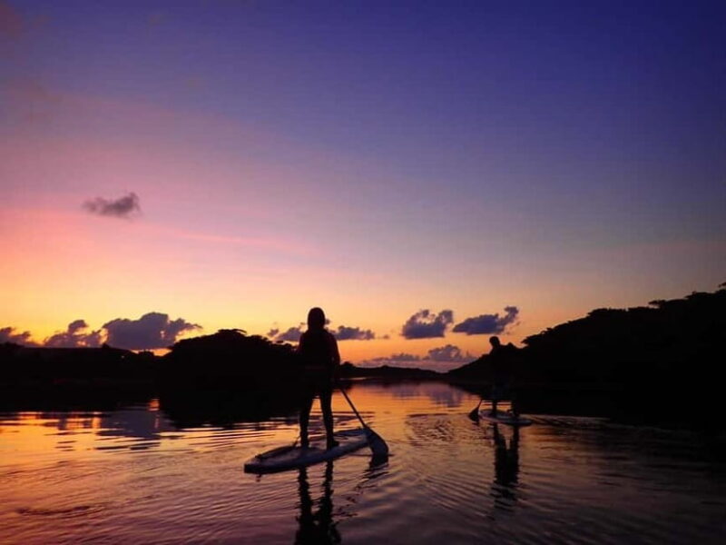 Ishigaki Island:Choice of Sunrise SUP or Canoe Tour - The Value of the Experience