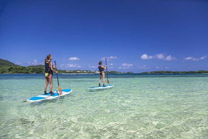 [Ishigaki] Kabira Bay SUP/Canoe Tour - Details and Requirements